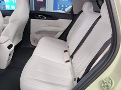 Geely Star Wish 310km Dream Edition - photo 16