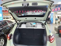 Geely Star Wish 310km Dream Edition - photo 18