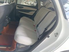 BYD Seagull 05 DM-i Smart Drive Edition 55KM Luxury - photo 16