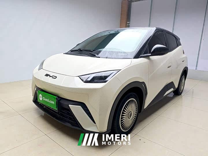 BYD Seagull Glory Edition 305km Vitality Version