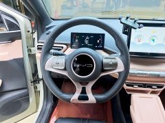 BYD Seagull Glory Edition 305km Vitality Version - ფოტო 10