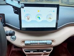 BYD Seagull Glory Edition 305km Vitality Version - ფოტო 12