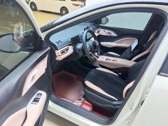 BYD Seagull Glory Edition 305km Vitality Version - ფოტო 15