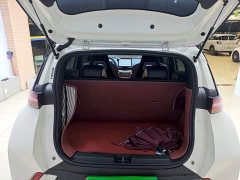 BYD Seagull Glory Edition 305km Vitality Version - ფოტო 18