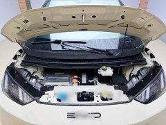 BYD Seagull Glory Edition 305km Vitality Version - ფოტო 19