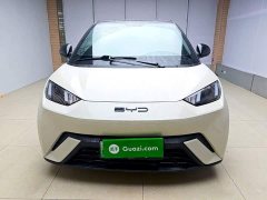 BYD Seagull Glory Edition 305km Vitality Version - ფოტო 2