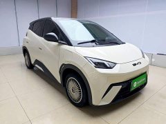 BYD Seagull Glory Edition 305km Vitality Version - ფოტო 3