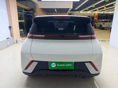 BYD Seagull Glory Edition 305km Vitality Version - ფოტო 5