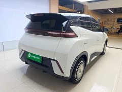 BYD Seagull Glory Edition 305km Vitality Version - ფოტო 6