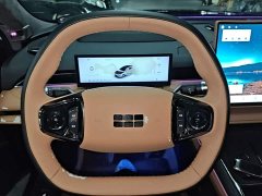 Geely Galaxy Xingyao 8 130km EM-i Flagship - ფოტო 10