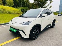 BYD Seagull Glory Edition 305km Freedom Version - ფოტო 1