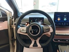 BYD Seagull Glory Edition 305km Freedom Version - ფოტო 10