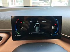 BYD Seagull Glory Edition 305km Freedom Version - ფოტო 11