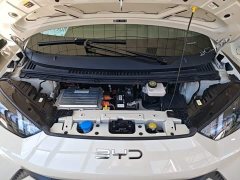 BYD Seagull Glory Edition 305km Freedom Version - ფოტო 19