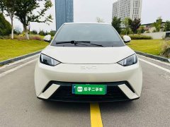BYD Seagull Glory Edition 305km Freedom Version - ფოტო 2