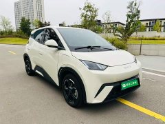 BYD Seagull Glory Edition 305km Freedom Version - ფოტო 3