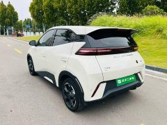 BYD Seagull Glory Edition 305km Freedom Version - ფოტო 4