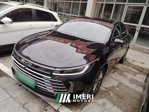 2024 BYD Destroyer 05 Glory Edition DM-i 55KM Luxury