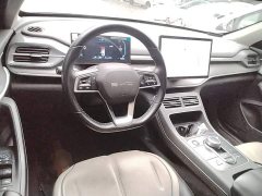 BYD Destroyer 05 Glory Edition DM-i 55KM Luxury - ფოტო 10