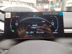 BYD Destroyer 05 Glory Edition DM-i 55KM Luxury - ფოტო 11