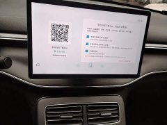 BYD Destroyer 05 Glory Edition DM-i 55KM Luxury - ფოტო 12