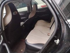 BYD Destroyer 05 Glory Edition DM-i 55KM Luxury - ფოტო 16