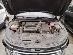 BYD Destroyer 05 Glory Edition DM-i 55KM Luxury - ფოტო 19