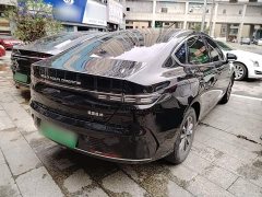 BYD Destroyer 05 Glory Edition DM-i 55KM Luxury - ფოტო 6
