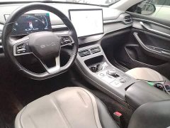 BYD Destroyer 05 Glory Edition DM-i 55KM Luxury - ფოტო 9