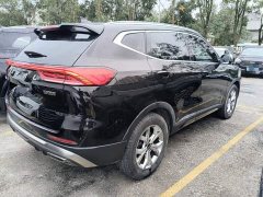 Haval H6 National Trend 1.5GDIT Automatic Champion Edition - photo 6