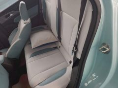 Geely Geometry E Firefly 301km Starlight - ფოტო 16