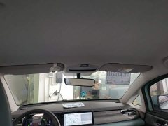 Geely Geometry E Firefly 301km Starlight - ფოტო 17