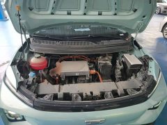 Geely Geometry E Firefly 301km Starlight - ფოტო 19