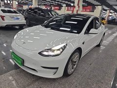 Tesla Model 3 Standard Range RWD Upgrade 3D6 - ფოტო 1