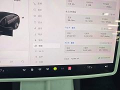 Tesla Model 3 Standard Range RWD Upgrade 3D6 - ფოტო 11