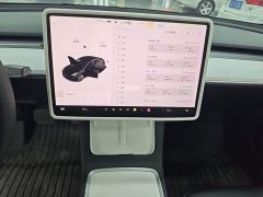 Tesla Model 3 Standard Range RWD Upgrade 3D6 - ფოტო 12