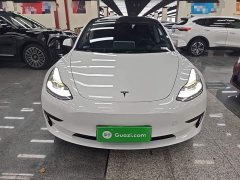 Tesla Model 3 Standard Range RWD Upgrade 3D6 - ფოტო 2
