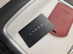 Tesla Model 3 Standard Range RWD Upgrade 3D6 - ფოტო 8