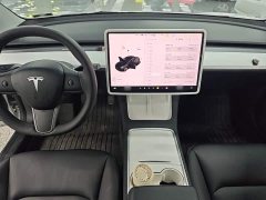 Tesla Model 3 Standard Range RWD Upgrade 3D6 - ფოტო 9