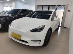 Tesla Model Y Rear-Wheel Drive - ფოტო 1