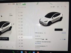 Tesla Model Y Rear-Wheel Drive - ფოტო 11