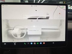Tesla Model Y Rear-Wheel Drive - ფოტო 12