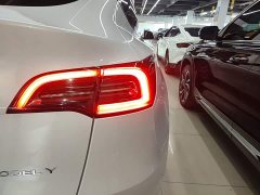 Tesla Model Y Rear-Wheel Drive - ფოტო 7