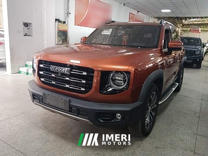 Great Wall Dachshund 1.5T DCT Two-Wheel Drive Malinois-Wangcai Edition - ავტომობილი ჩინეთიდან