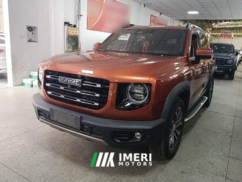 2021 Great Wall Dachshund 1.5T DCT Two-Wheel Drive Malinois-Wangcai Edition - ავტომობილი ჩინეთიდან