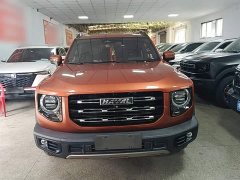 Great Wall Dachshund 1.5T DCT Two-Wheel Drive Malinois-Wangcai Edition - ფოტო 2