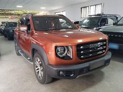 Great Wall Dachshund 1.5T DCT Two-Wheel Drive Malinois-Wangcai Edition - ფოტო 3