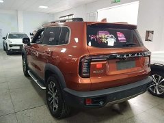 Great Wall Dachshund 1.5T DCT Two-Wheel Drive Malinois-Wangcai Edition - ფოტო 4