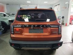 Great Wall Dachshund 1.5T DCT Two-Wheel Drive Malinois-Wangcai Edition - ფოტო 5