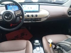 Wuling Binguo 333km Joy Edition - ფოტო 12